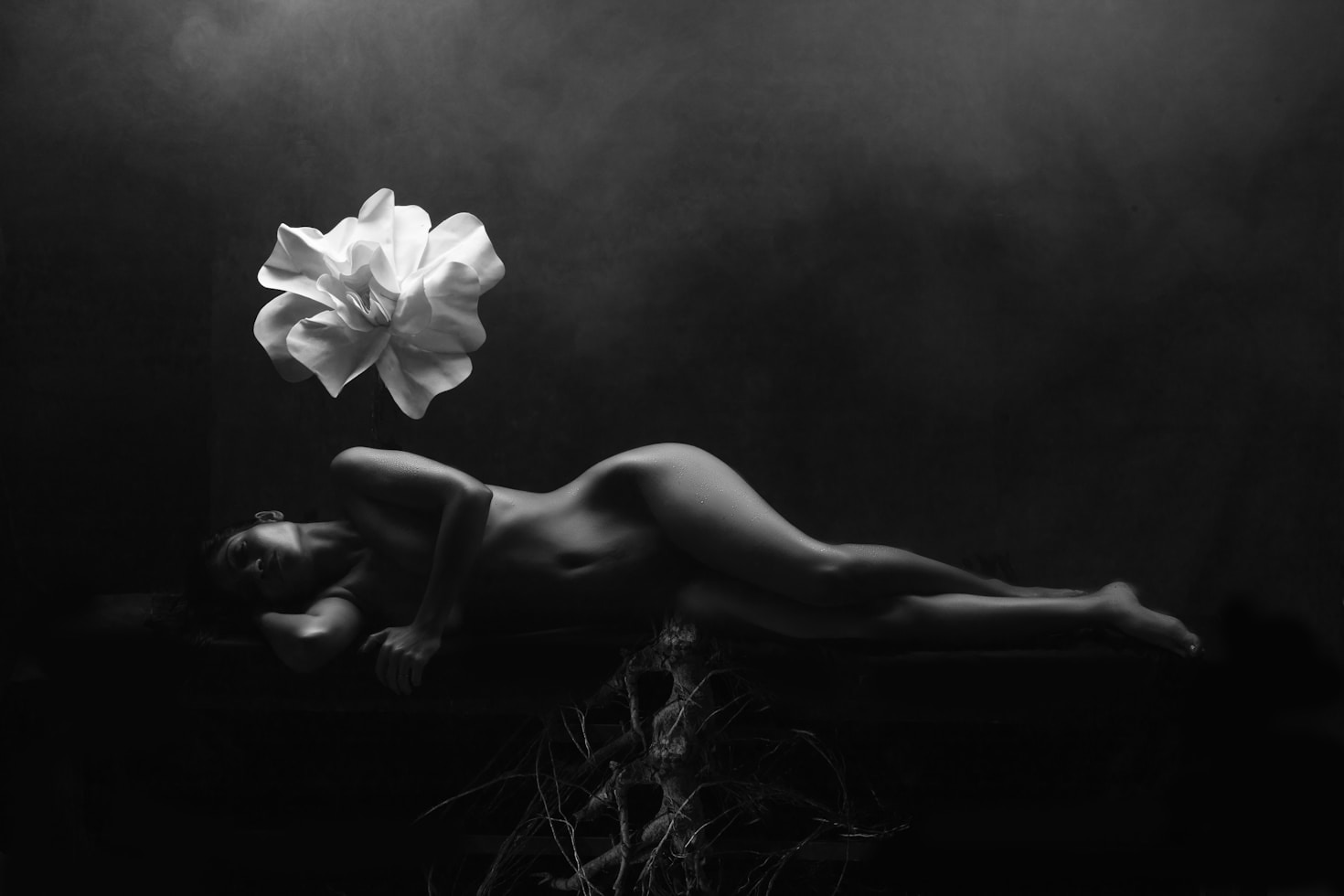 Hoe het autobiografische kunstproject tot leven kwam